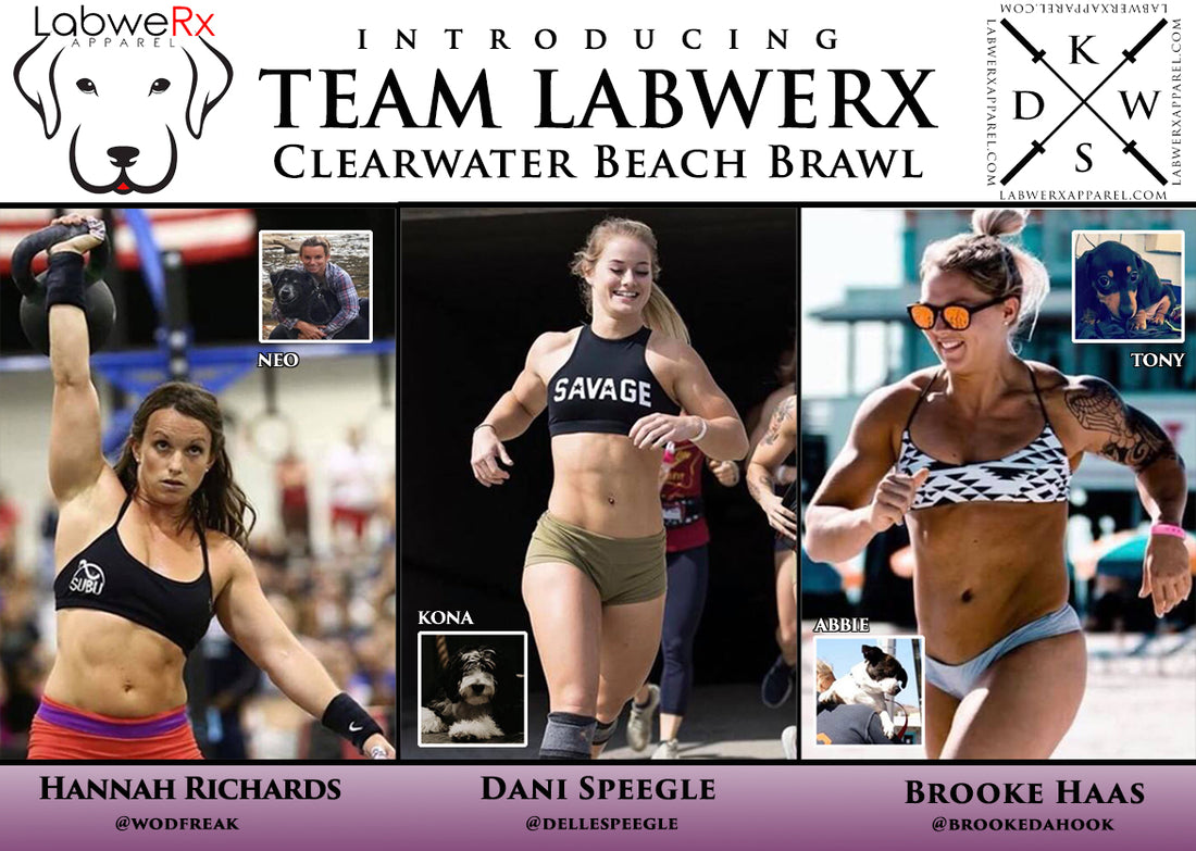 Clearwater Beach Brawl - With Team LabweRx and Humane Society Tampa Bay