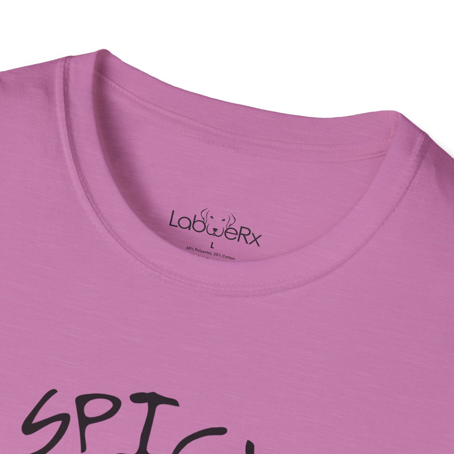 SPICY CONTENT Competition Team T-Shirt